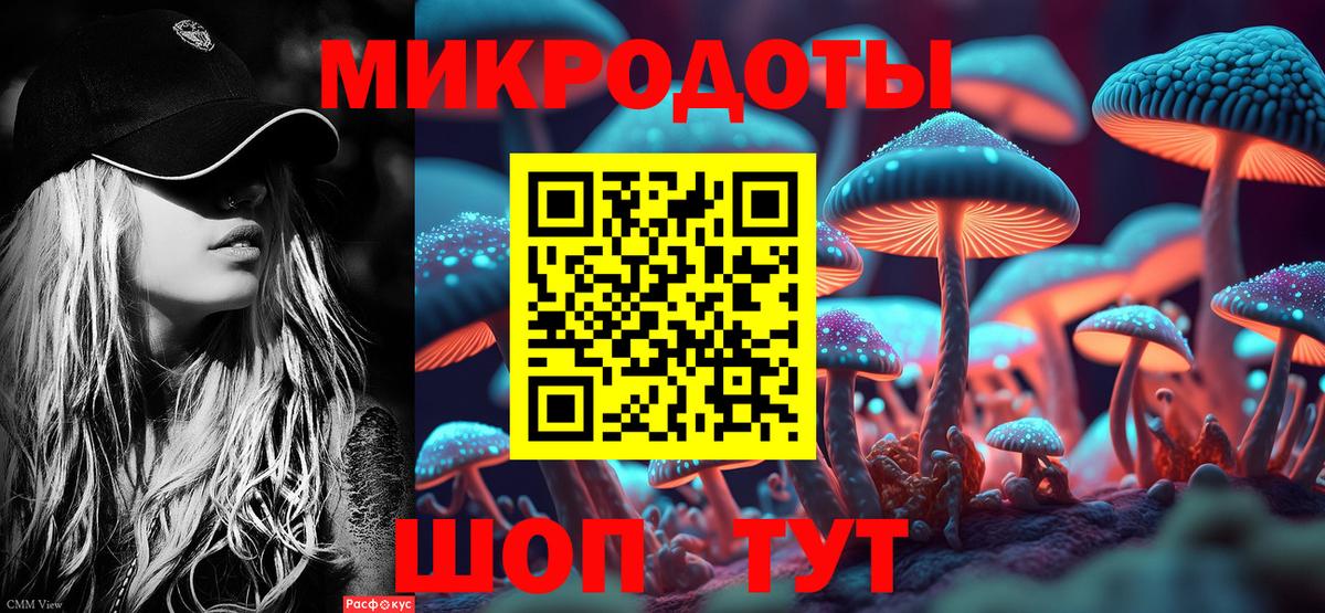 Славянск-на-Кубани  Псилоцибиновые грибы GOLDEN TEACHER  Вход с VPN 